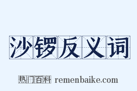 沙锣反义词是什么意思的图片